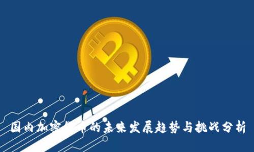 国内加密货币的未来发展趋势与挑战分析