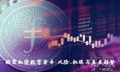 揭露加密数字货币：风险