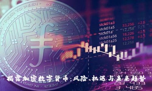 揭露加密数字货币：风险、机遇与未来趋势