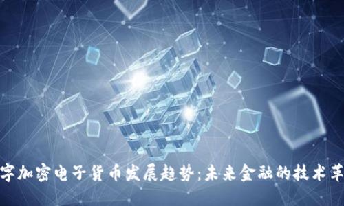 数字加密电子货币发展趋势：未来金融的技术革命