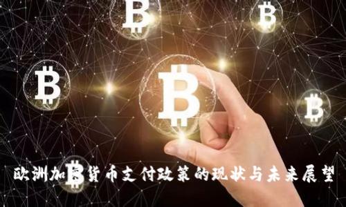 欧洲加密货币支付政策的现状与未来展望