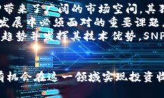   SNP加密货币：投资前景与