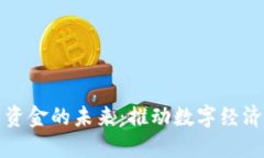 美元加密货币资金的未来