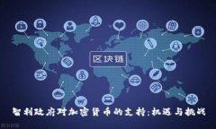 智利政府对加密货币的支