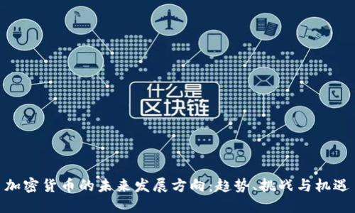 加密货币的未来发展方向：趋势、挑战与机遇