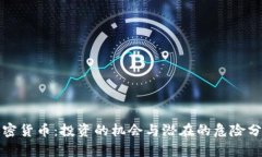 加密货币：投资的机会与