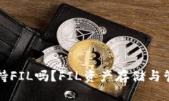 TP钱包支持FIL吗？FIL资产存