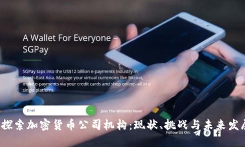  探索加密货币公司机构：现状、挑战与未来发展