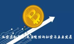 加密虚拟货币：无法追踪