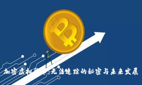 加密虚拟货币：无法追踪的秘密与未来发展