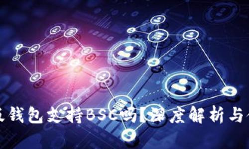 TP桌面版钱包支持BSC吗？深度解析与使用指南