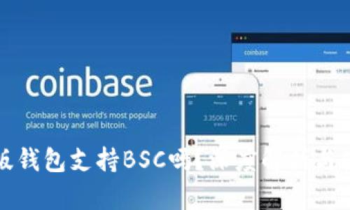 TP桌面版钱包支持BSC吗？深度解析与使用指南