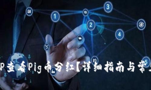 如何通过TP查看Pig币分红？详细指南与常见问题解答